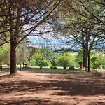 Vignacce - Boutique Country Bettolle