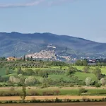 Vignacce - Boutique Country Bettolle