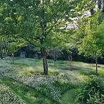 Vignacce - Boutique Country Country house *