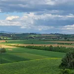 Vignacce - Boutique Country *