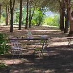 Vignacce - Boutique Country * Bettolle