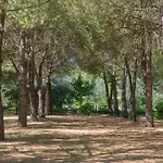 Vignacce - Boutique Country Bettolle