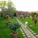 Vignacce - Boutique Country