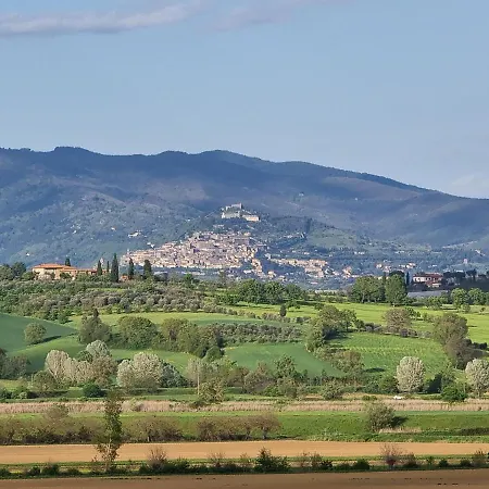 Vignacce - Boutique Country Bettolle