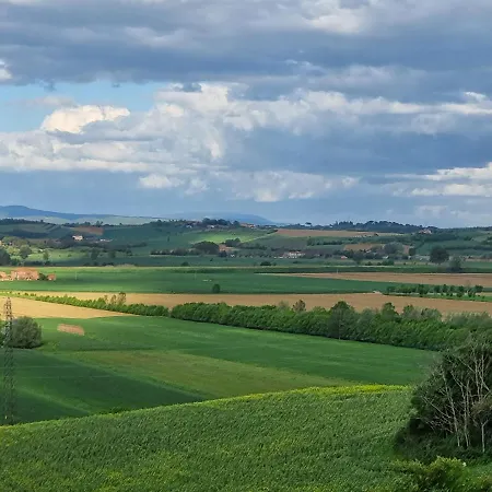 Vignacce - Boutique Country *