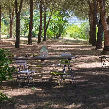 Vignacce - Boutique Country * Bettolle