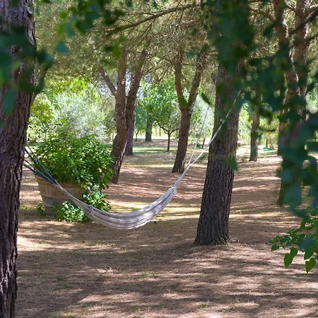 Εξοχικό σπίτι Vignacce - Boutique Country