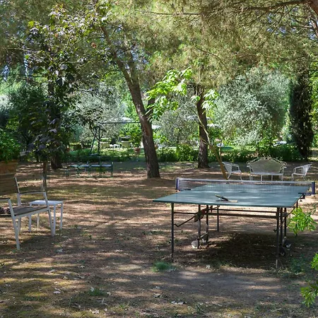 Vignacce - Boutique Country Bettolle