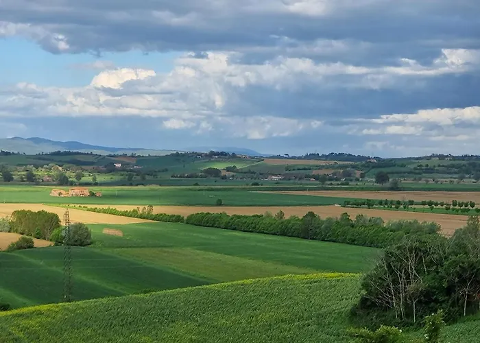 Vignacce - Boutique Country *